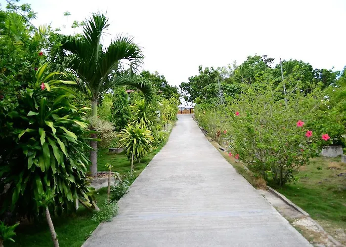 Eden 3*