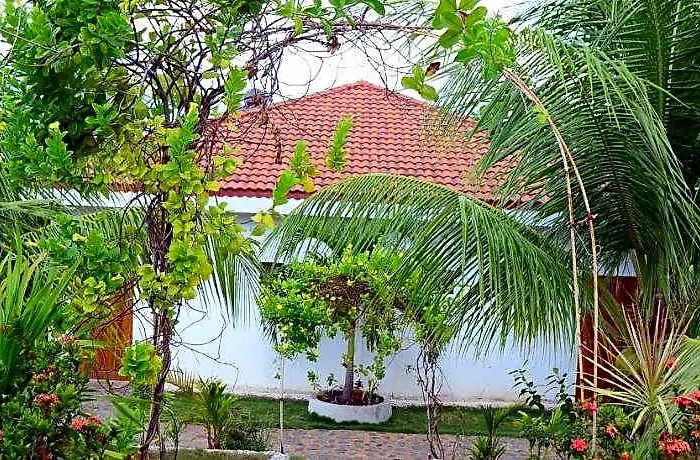 Eden 3*
