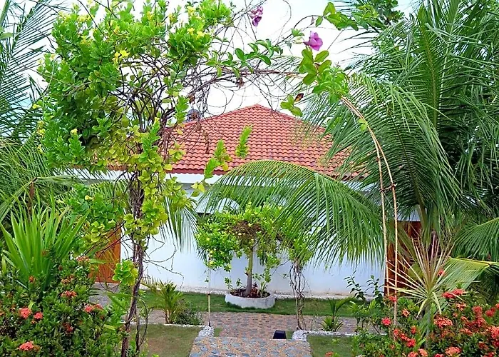 Eden 3*